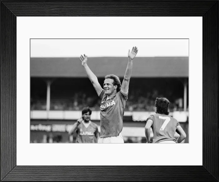 Framed Print : Everton clinched the league title for the eighth time in their history with a 2-0 win Framed Print : Everton clinched the league title for the eighth time in their history with a 2-0 win