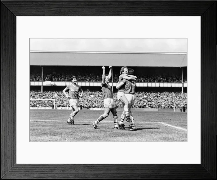 Framed Print : Everton clinched the league title for the eighth time in their history with a 2-0 win Framed Print : Everton clinched the league title for the eighth time in their history with a 2-0 win