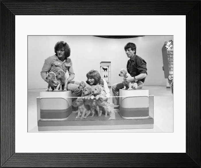Framed Print : Blue Peters recently launched 3Bs appeal for 2, 000 Framed Print : Blue Peters recently launched 3Bs appeal for 2, 000