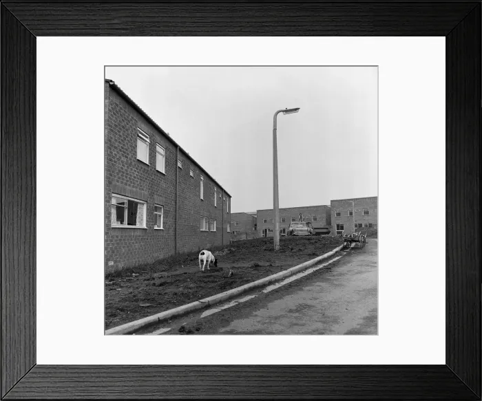 Framed Print : The construction of the Westfield Estate, Loftus. 1974 Framed Print : The construction of the Westfield Estate, Loftus. 1974