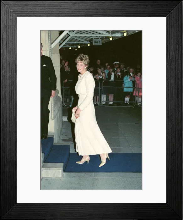 Framed Print : HRH The Princess of Wales, Princess Diana, attends the Red Cross-Daily Mirror Care in Framed Print : HRH The Princess of Wales, Princess Diana, attends the Red Cross-Daily Mirror Care in