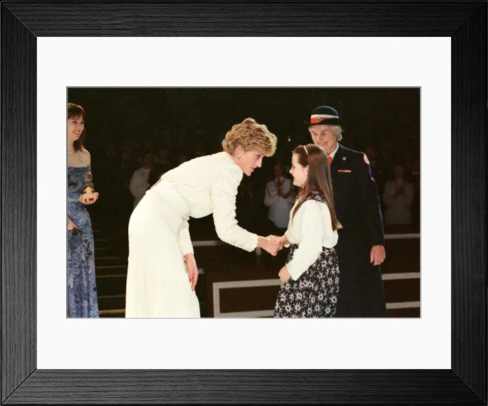 Framed Print : HRH The Princess of Wales, Princess Diana, attends the Red Cross-Daily Mirror Care in Framed Print : HRH The Princess of Wales, Princess Diana, attends the Red Cross-Daily Mirror Care in