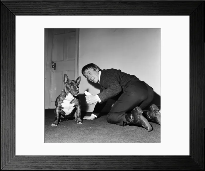 Framed Print : The dog that did the damage, Shady, makes it up with actor Christopher Timothy at their