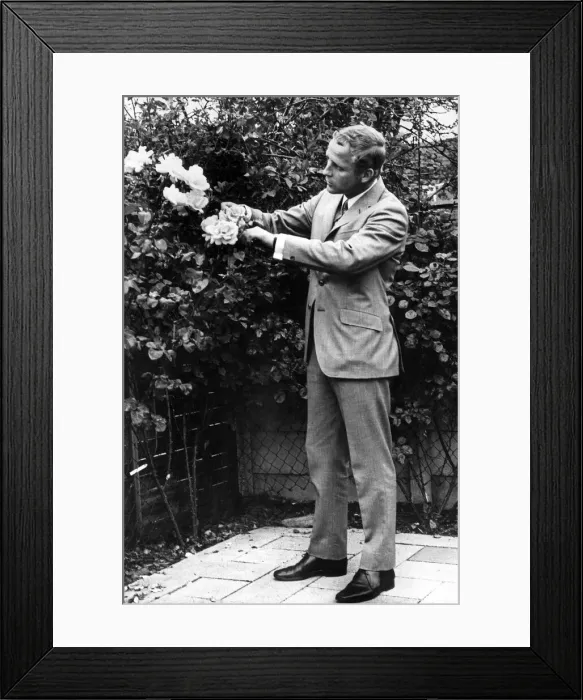Framed Print : Footballer Alex Young pruning roses at his home Aughton. Circa 1968 Framed Print : Footballer Alex Young pruning roses at his home Aughton. Circa 1968