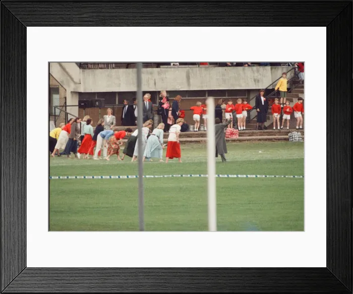 Framed Print : HRH The Princess of Wales, Princess Diana runs in her sons William and Harry