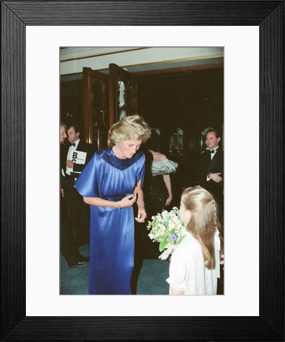 Framed Print : HRH The Princess of Wales, Princess Diana, attends the First Night of the English Framed Print : HRH The Princess of Wales, Princess Diana, attends the First Night of the English