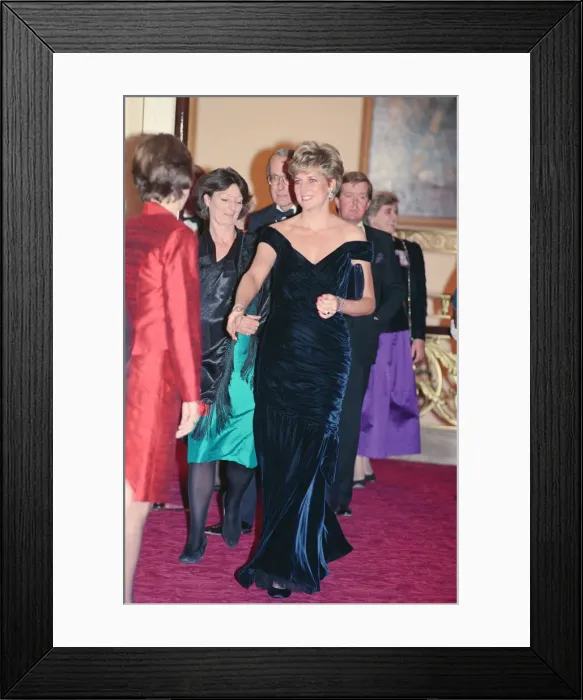 Framed Print : HRH The Princess of Wales, Princess Diana, attends Carnival of the Birds for Framed Print : HRH The Princess of Wales, Princess Diana, attends Carnival of the Birds for