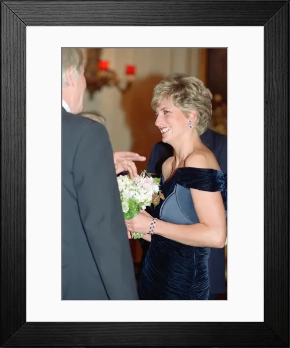 Framed Print : HRH The Princess of Wales, Princess Diana, attends Carnival of the Birds for Framed Print : HRH The Princess of Wales, Princess Diana, attends Carnival of the Birds for