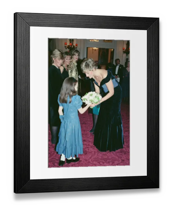 Framed Print : HRH The Princess of Wales, Princess Diana, attends Carnival of the Birds for