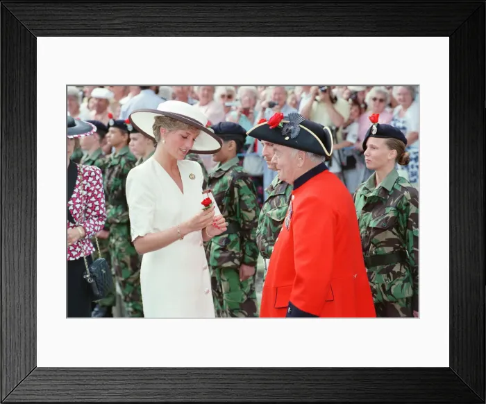 Framed Print : HRH The Princess of Wales, Princess Diana, at Portsmouth for a ceremony celebrating Framed Print : HRH The Princess of Wales, Princess Diana, at Portsmouth for a ceremony celebrating