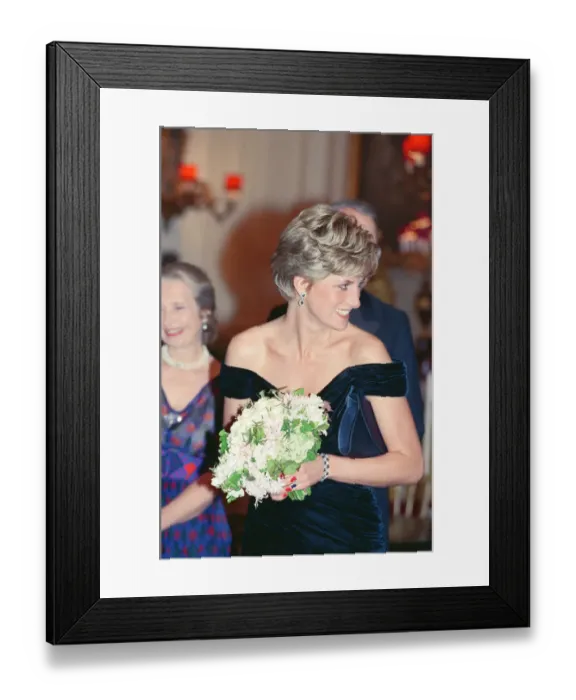 Framed Print : HRH The Princess of Wales, Princess Diana, attends Carnival of the Birds for Framed Print : HRH The Princess of Wales, Princess Diana, attends Carnival of the Birds for