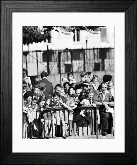 Framed Print : Children looking at animals at London Zoo. 21st September 1953