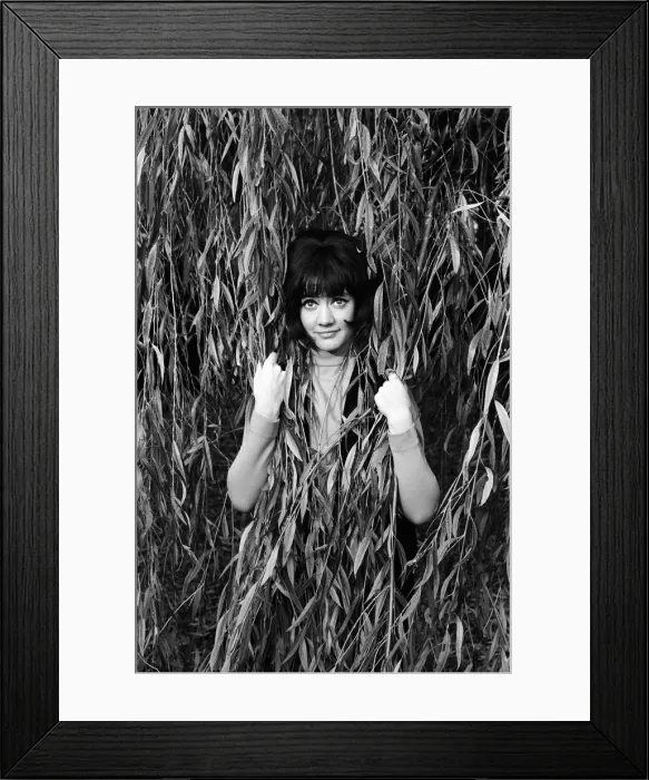 Framed Print : Amanda Barrie rehearsing at ATV studios, Elstree. She is currently recording a new series Framed Print : Amanda Barrie rehearsing at ATV studios, Elstree. She is currently recording a new series