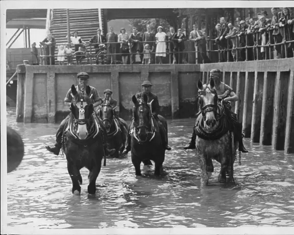 The horse wash at at Victoria Pier, Hull 15th June 1948