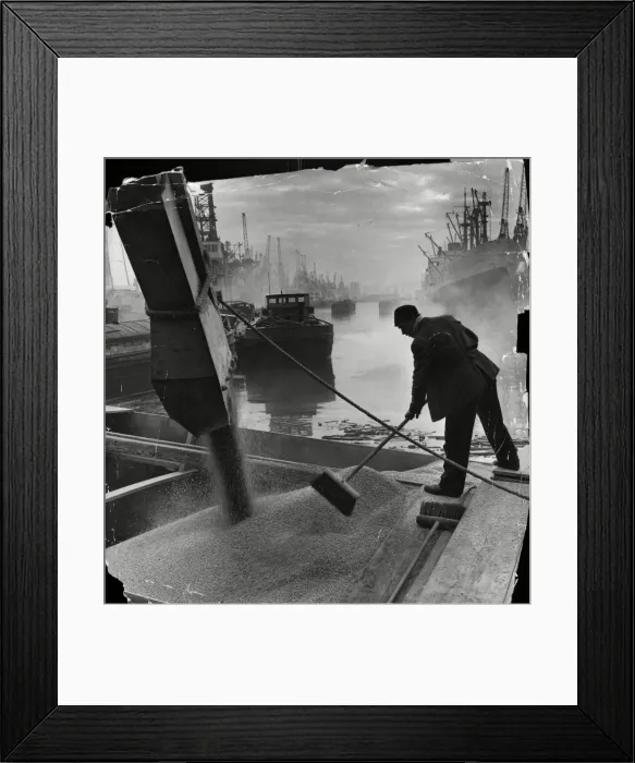 Framed Print : Trimming the cargo as grain roars down a chute from silo to barge in King George Dock Framed Print : Trimming the cargo as grain roars down a chute from silo to barge in King George Dock