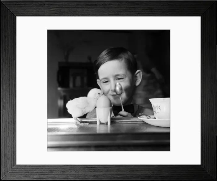 Framed Print : A little boy with a baby chick. 13th March 1954 Framed Print : A little boy with a baby chick. 13th March 1954