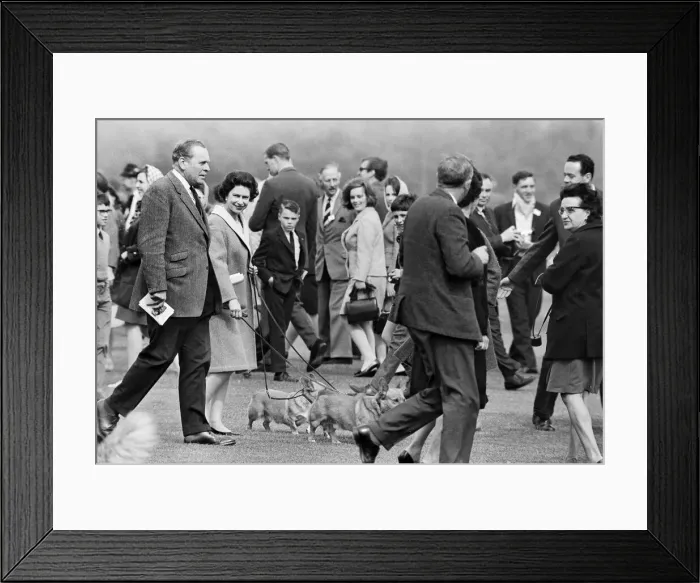 Framed Print : Combermere Cup Final Polo match played at Windsor. Windsor Park defeated Lowood by