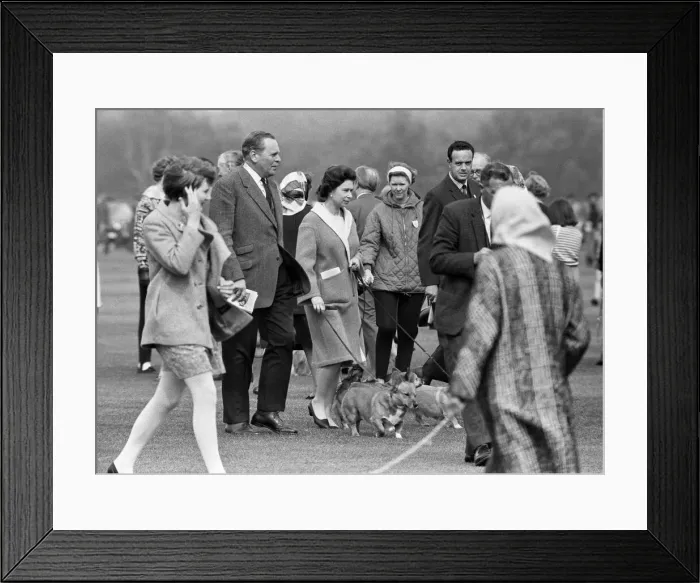Framed Print : Combermere Cup Final Polo match played at Windsor. Windsor Park defeated Lowood by