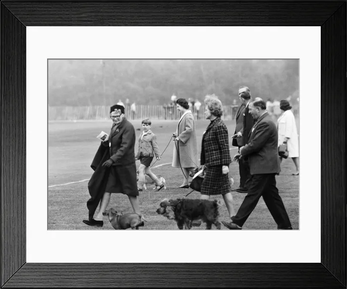 Framed Print : Combermere Cup Final Polo match played at Windsor. Windsor Park defeated Lowood by