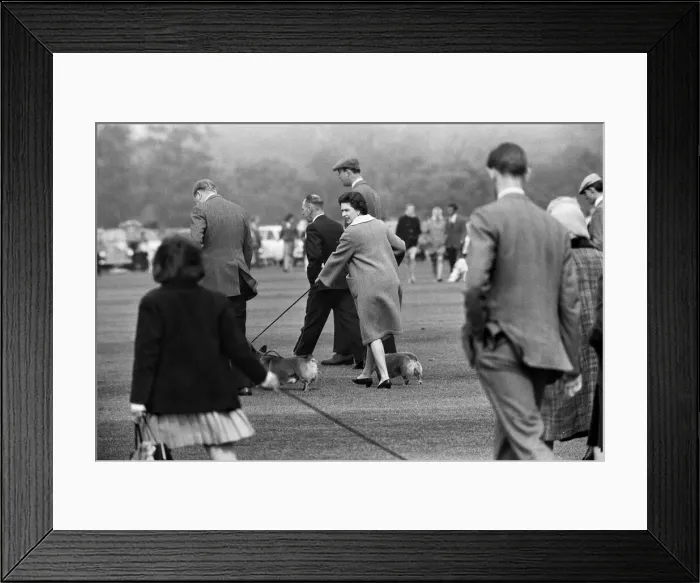 Framed Print : Combermere Cup Final Polo match played at Windsor. Windsor Park defeated Lowood by
