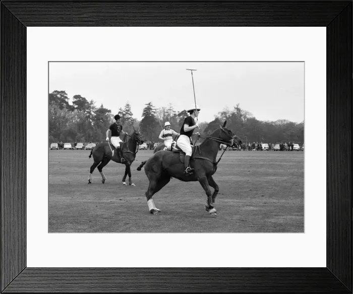 Framed Print : Prince Charles in action during his first polo game at Windsor Park alongside his father Framed Print : Prince Charles in action during his first polo game at Windsor Park alongside his father