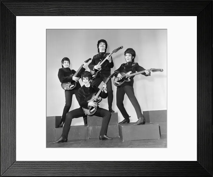 Framed Print : Everybody wants to get into the act. Even girls. The four Beatle-browed birds in Framed Print : Everybody wants to get into the act. Even girls. The four Beatle-browed birds in