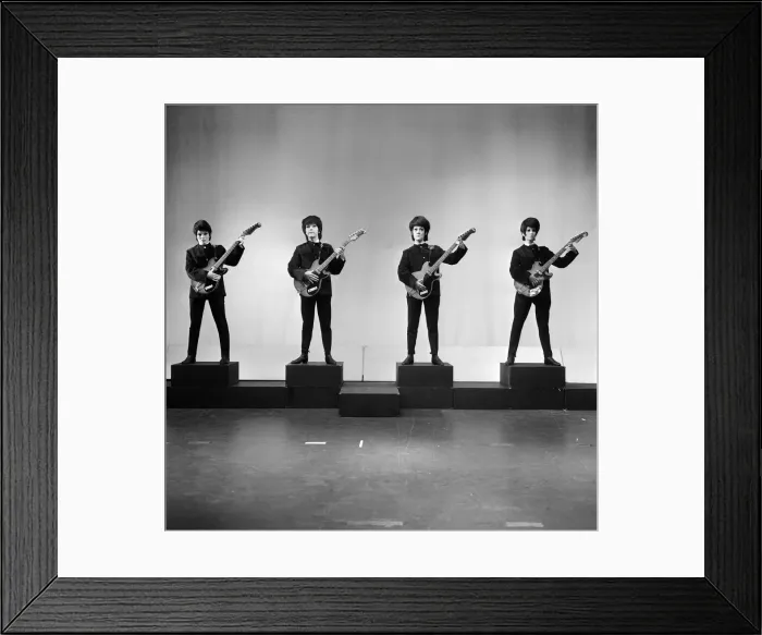 Framed Print : Everybody wants to get into the act. Even girls. The four Beatle-browed birds in