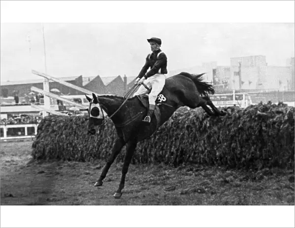 Racehorse Foinavon, ridden by jockey John Buckingham on his way to win the Grand national