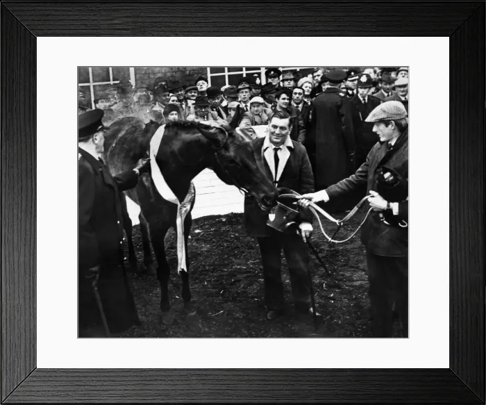 Framed Print : Racehorse Foinavon, ridden by jockey John Buckingham wins the Grand national at Aintree
