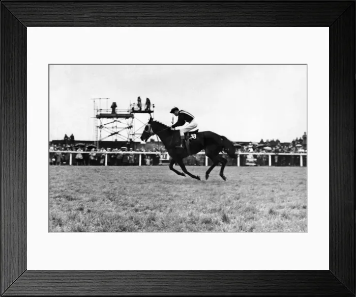 Framed Print : Racehorse Foinavon, ridden by jockey John Buckingham on his way to win the Grand national
