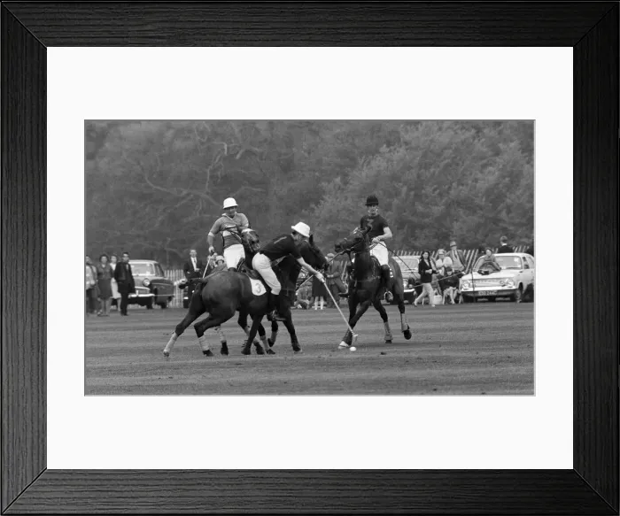 Framed Print : Combermere Cup Final Polo match played at Windsor. Windsor Park defeated Lowood by Framed Print : Combermere Cup Final Polo match played at Windsor. Windsor Park defeated Lowood by
