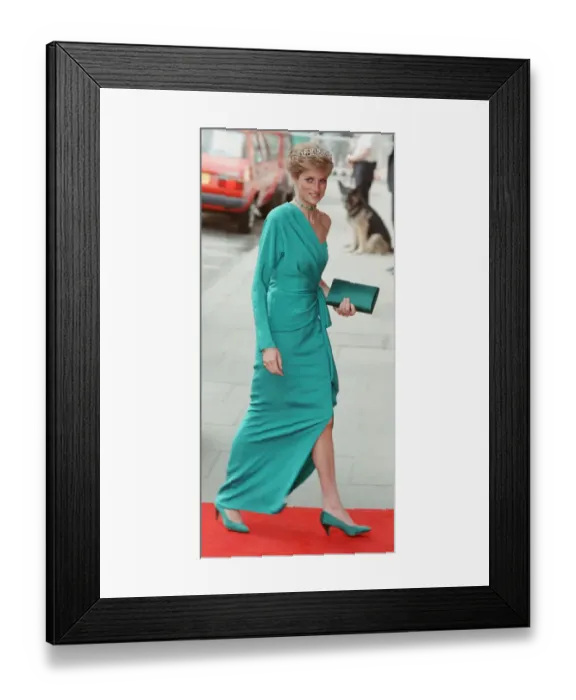 Framed Print : HRH The Princess of Wales, Princess Diana attends a banquet at Mansion House hosted by Framed Print : HRH The Princess of Wales, Princess Diana attends a banquet at Mansion House hosted by