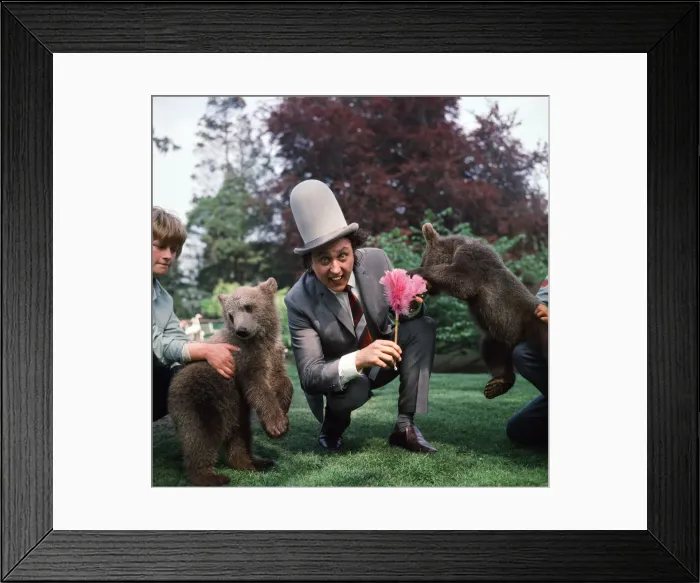 Framed Print : Ken Dodd visits Diddy and Doddy, two four-month-old bears at Flamingo Park Zoo