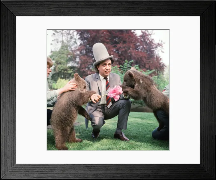 Framed Print : Ken Dodd visits Diddy and Doddy, two four-month-old bears at Flamingo Park Zoo Framed Print : Ken Dodd visits Diddy and Doddy, two four-month-old bears at Flamingo Park Zoo