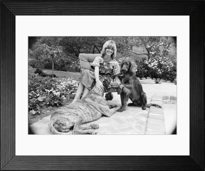 Framed Print : Olivia Newton John, singer and actor, pictured at home in Malibu, California, America Framed Print : Olivia Newton John, singer and actor, pictured at home in Malibu, California, America