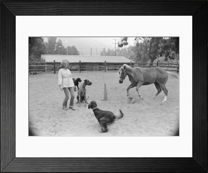 Framed Print : Olivia Newton John, singer and actor, pictured at home in Malibu, California, America Framed Print : Olivia Newton John, singer and actor, pictured at home in Malibu, California, America
