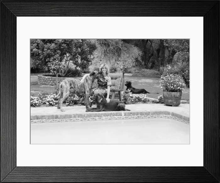 Framed Print : Olivia Newton John, singer and actor, pictured at home in Malibu, California, America Framed Print : Olivia Newton John, singer and actor, pictured at home in Malibu, California, America