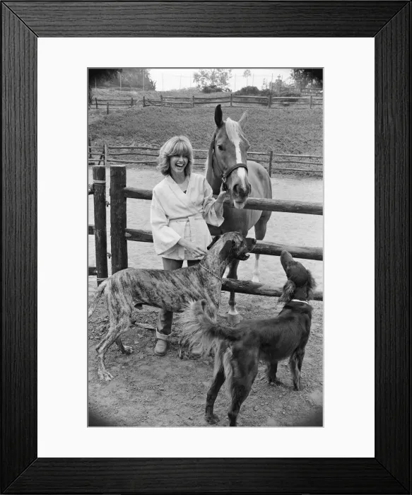 Framed Print : Olivia Newton John, singer and actor, pictured at home in Malibu, California, America Framed Print : Olivia Newton John, singer and actor, pictured at home in Malibu, California, America
