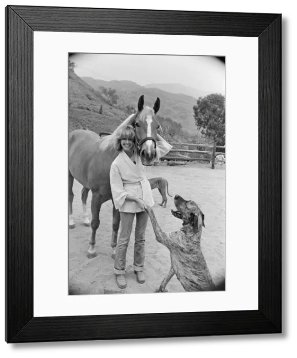 Framed Print : Olivia Newton John, singer and actor, pictured at home in Malibu, California, America Framed Print : Olivia Newton John, singer and actor, pictured at home in Malibu, California, America