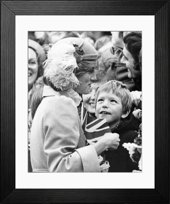 Framed Print : The Princess of Wales at St Davids in Pembrokeshire, Wales Framed Print : The Princess of Wales at St Davids in Pembrokeshire, Wales