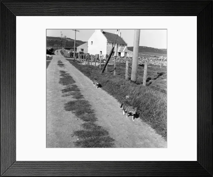Framed Print : General view of Fair Isle, Scotland. 22nd June 1964