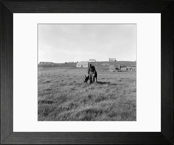 Framed Print : The Bancrofts, who a year ago left the rat race Framed Print : The Bancrofts, who a year ago left the rat race