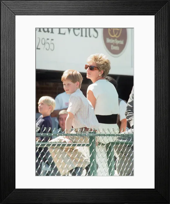 Framed Print : 1994 British Grand Prix, Silverstone, Northamptonshire, England, Sunday 10th July 1994