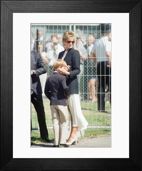 Framed Print : 1994 British Grand Prix, Silverstone, Northamptonshire, England, Sunday 10th July 1994 Framed Print : 1994 British Grand Prix, Silverstone, Northamptonshire, England, Sunday 10th July 1994