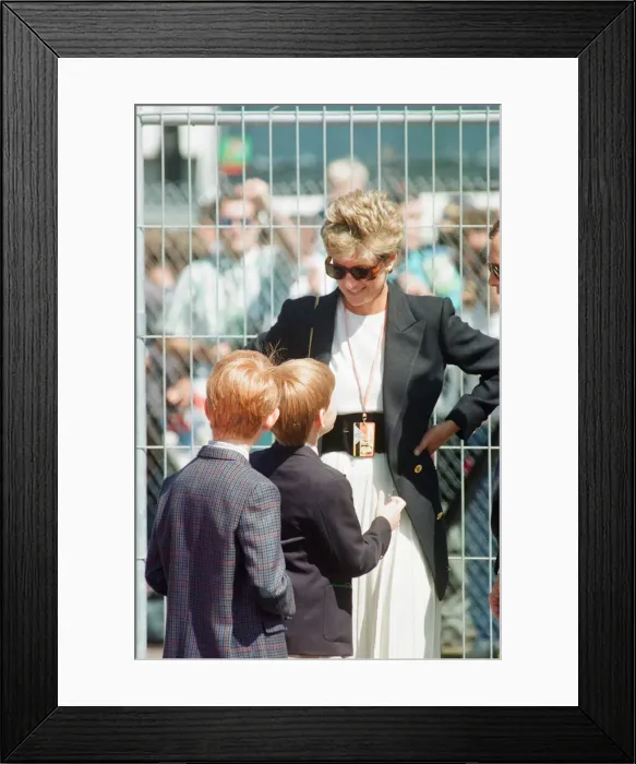Framed Print : 1994 British Grand Prix, Silverstone, Northamptonshire, England, Sunday 10th July 1994