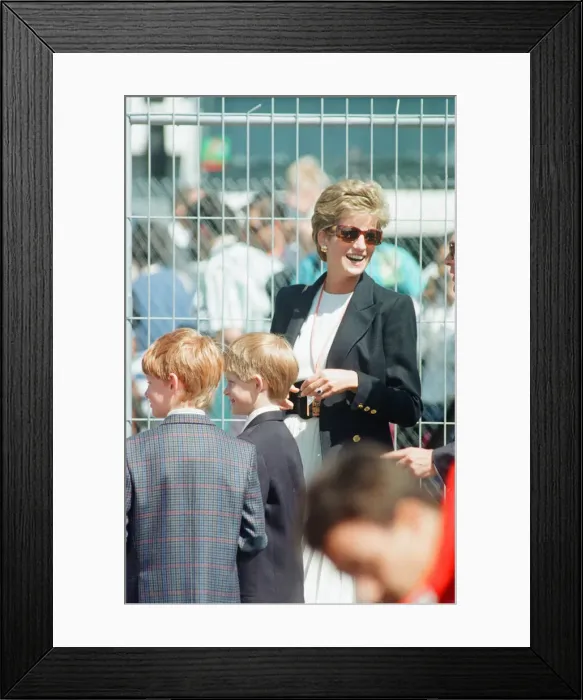 Framed Print : 1994 British Grand Prix, Silverstone, Northamptonshire, England, Sunday 10th July 1994