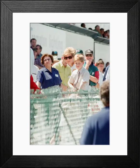 Framed Print : 1994 British Grand Prix, Silverstone, Northamptonshire, England, Sunday 10th July 1994