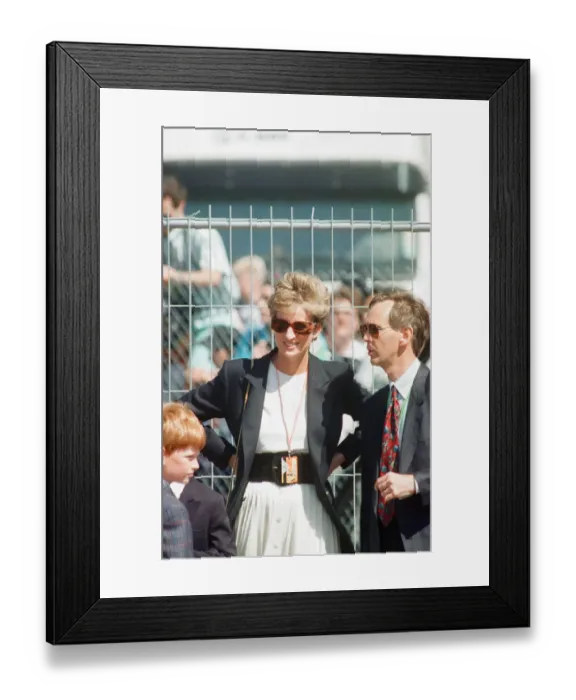 Framed Print : 1994 British Grand Prix, Silverstone, Northamptonshire, England, Sunday 10th July 1994 Framed Print : 1994 British Grand Prix, Silverstone, Northamptonshire, England, Sunday 10th July 1994