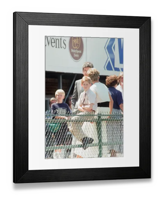 Framed Print : 1994 British Grand Prix, Silverstone, Northamptonshire, England, Sunday 10th July 1994