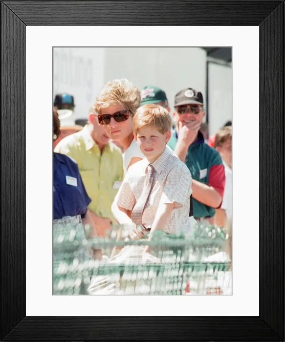 Framed Print : 1994 British Grand Prix, Silverstone, Northamptonshire, England, Sunday 10th July 1994
